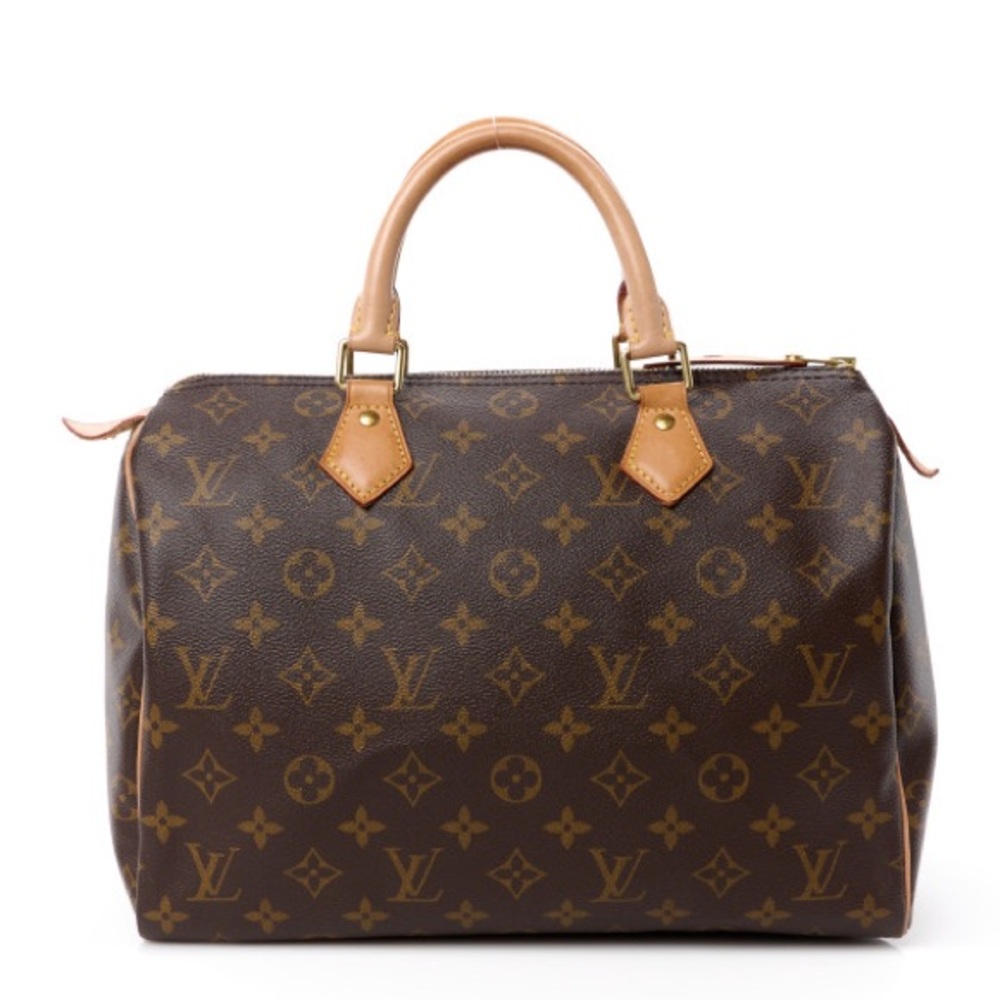 Louis Vuitton Purse